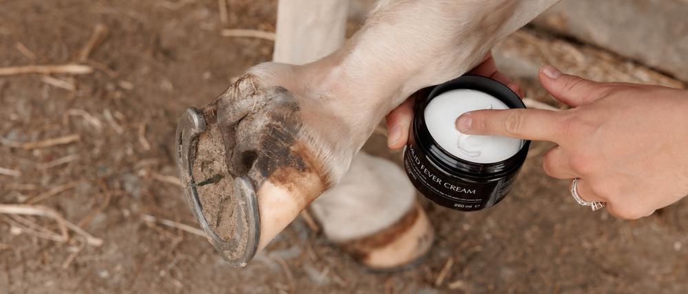 Leg & Hoof Care
